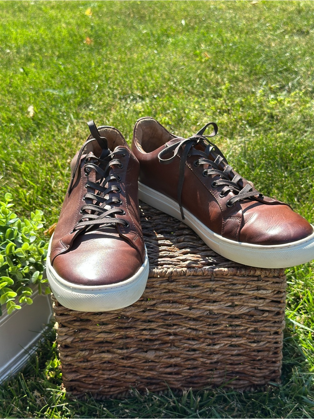 Thursday Boot Company Men's Brown Leather Premier Sneakers with White Soles
